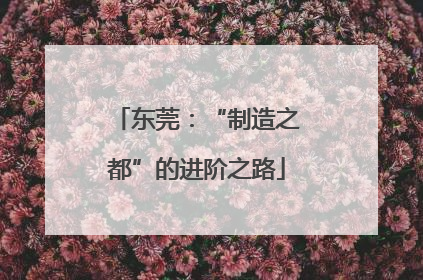 东莞：“制造之都”的进阶之路