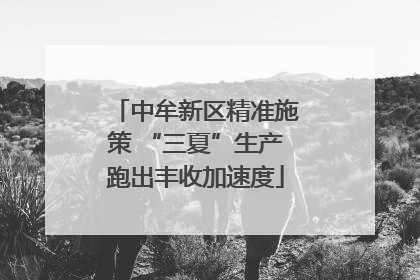 中牟新区精准施策 “三夏”生产跑出丰收加速度