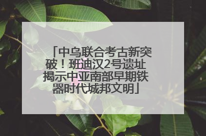 中乌联合考古新突破！班迪汉2号遗址揭示中亚南部早期铁器时代城邦文明