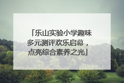 乐山实验小学趣味多元测评欢乐启幕，点亮综合素养之光