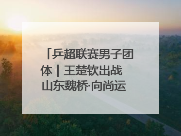 乒超联赛男子团体｜王楚钦出战 山东魏桥·向尚运动胜四川丰谷
