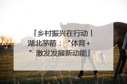 乡村振兴在行动丨湖北茅箭：“体育+”激发发展新动能