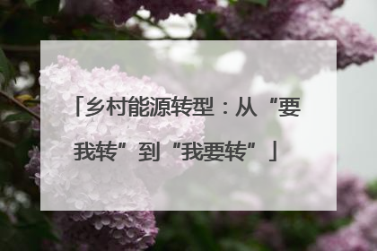 乡村能源转型：从“要我转”到“我要转”