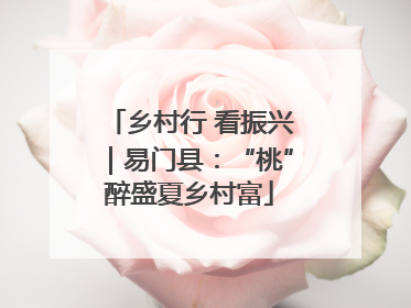 乡村行 看振兴｜易门县：“桃”醉盛夏乡村富