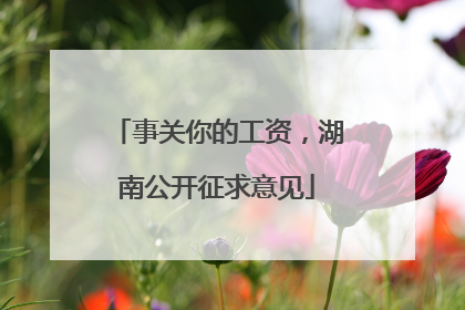 事关你的工资，湖南公开征求意见