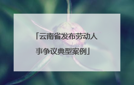 云南省发布劳动人事争议典型案例