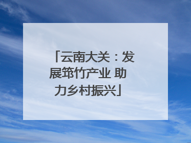 云南大关：发展筇竹产业 助力乡村振兴