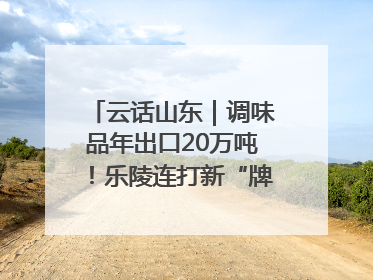 云话山东｜调味品年出口20万吨！乐陵连打新“牌”助力企业出海