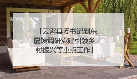 云霄县委书记到东厦镇调研党建引领乡村振兴等重点工作