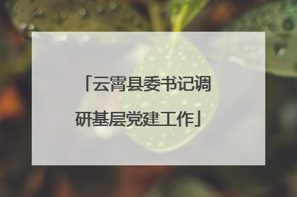 云霄县委书记调研基层党建工作