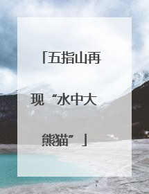 五指山再现“水中大熊猫”