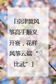 京津冀风筝高手顺义开赛，花样风筝云端“比武”