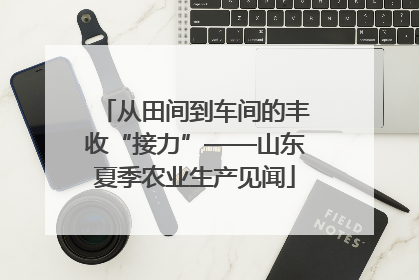 从田间到车间的丰收“接力”——山东夏季农业生产见闻