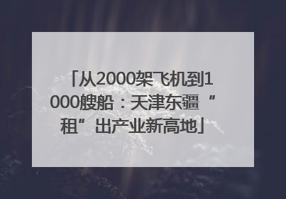 从2000架飞机到1000艘船：天津东疆“租”出产业新高地