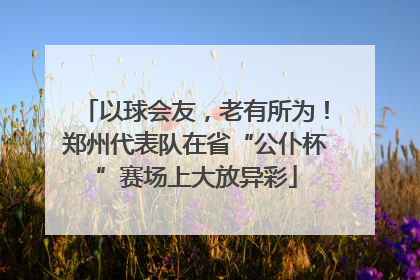 以球会友，老有所为！郑州代表队在省“公仆杯”赛场上大放异彩