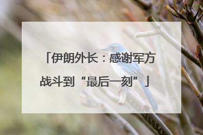 伊朗外长：感谢军方战斗到“最后一刻”