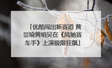 优酷闯出新赛道 黄景瑜黄明昊在《风驰赛车手》上演极限狂飙