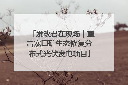 发改君在现场｜直击寨口矿生态修复分布式光伏发电项目