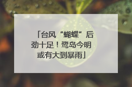 台风“蝴蝶”后劲十足！鹭岛今明或有大到暴雨