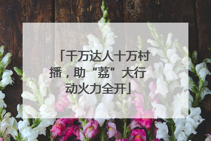 千万达人十万村播，助“荔”大行动火力全开