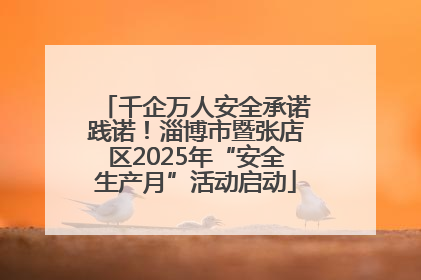 千企万人安全承诺践诺！淄博市暨张店区2025年“安全生产月”活动启动