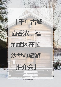 千年古城卤香浓，福地武冈在长沙举办旅游推介会