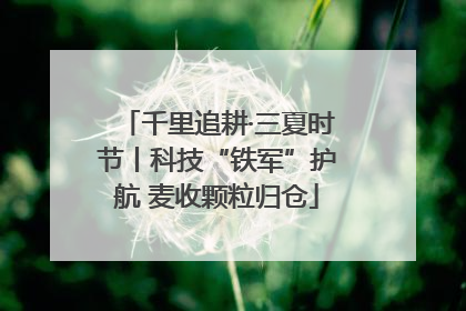 千里追耕·三夏时节丨科技“铁军”护航 麦收颗粒归仓
