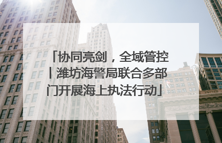 协同亮剑，全域管控丨潍坊海警局联合多部门开展海上执法行动