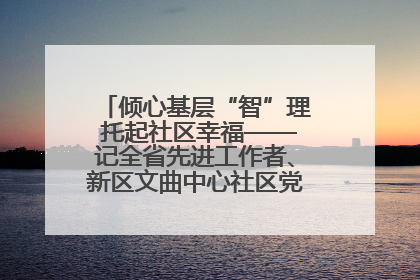倾心基层“智”理 托起社区幸福——记全省先进工作者、新区文曲中心社区党委书记董世弘