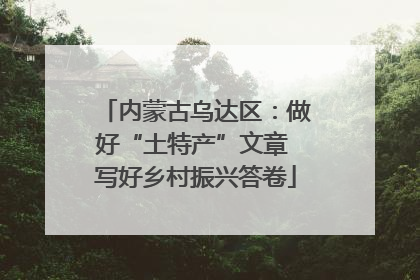 内蒙古乌达区：做好“土特产”文章 写好乡村振兴答卷