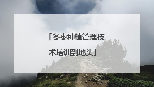 冬枣种植管理技术培训到地头