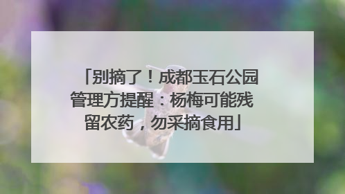 别摘了！成都玉石公园管理方提醒：杨梅可能残留农药，勿采摘食用