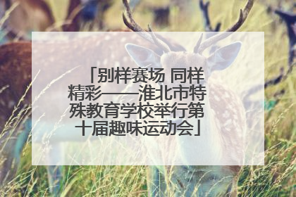 别样赛场 同样精彩——淮北市特殊教育学校举行第十届趣味运动会