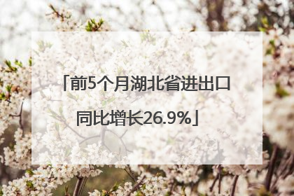 前5个月湖北省进出口同比增长26.9%
