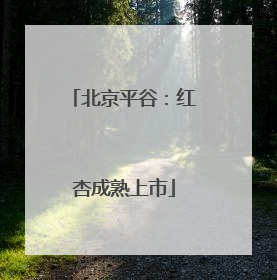北京平谷：红杏成熟上市