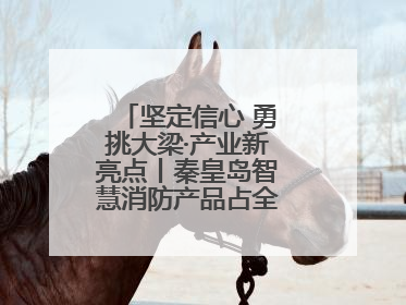 坚定信心 勇挑大梁·产业新亮点丨秦皇岛智慧消防产品占全国市场超四成