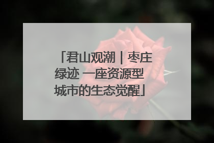 君山观潮｜枣庄绿迹 一座资源型城市的生态觉醒