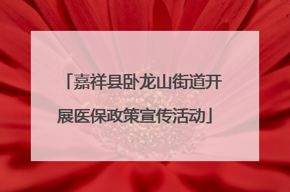 嘉祥县卧龙山街道开展医保政策宣传活动