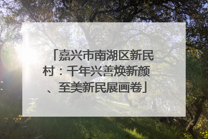 嘉兴市南湖区新民村：千年兴善焕新颜、至美新民展画卷