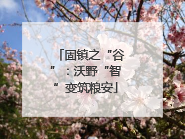 固镇之“谷”：沃野“智”变筑粮安