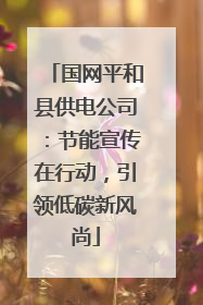 国网平和县供电公司：节能宣传在行动，引领低碳新风尚