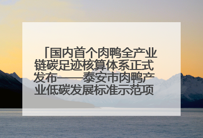 国内首个肉鸭全产业链碳足迹核算体系正式发布——泰安市肉鸭产业低碳发展标准示范项目顺利通过验收
