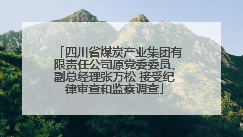 四川省煤炭产业集团有限责任公司原党委委员、副总经理张万松 接受纪律审查和监察调查