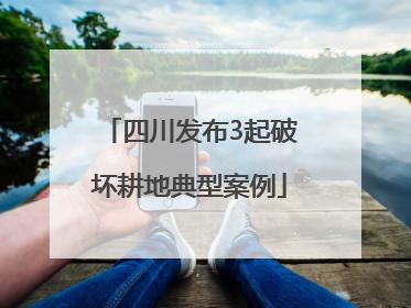 四川发布3起破坏耕地典型案例