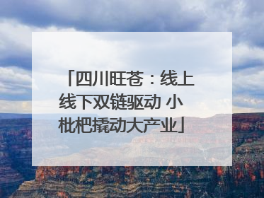 四川旺苍：线上线下双链驱动 小枇杷撬动大产业
