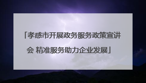 孝感市开展政务服务政策宣讲会 精准服务助力企业发展