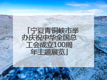 宁夏青铜峡市举办庆祝中华全国总工会成立100周年主题展览
