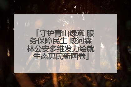 守护青山绿意 服务保障民生 蛟河森林公安多维发力绘就生态惠民新画卷