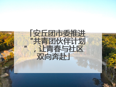 安丘团市委推进“共青团伙伴计划”，让青春与社区双向奔赴