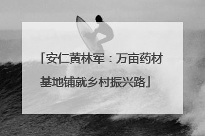 安仁黄林军：万亩药材基地铺就乡村振兴路